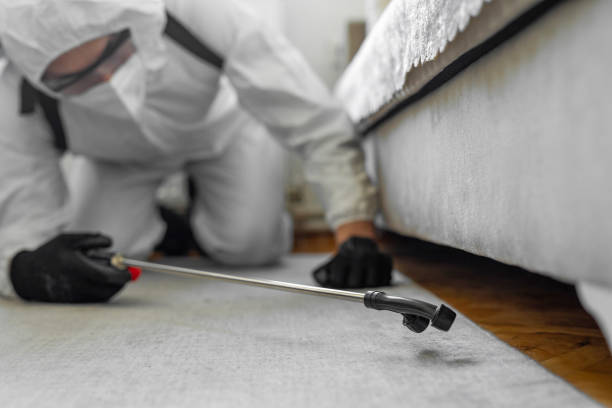 Professional Termite Control technician working in Munising, MI