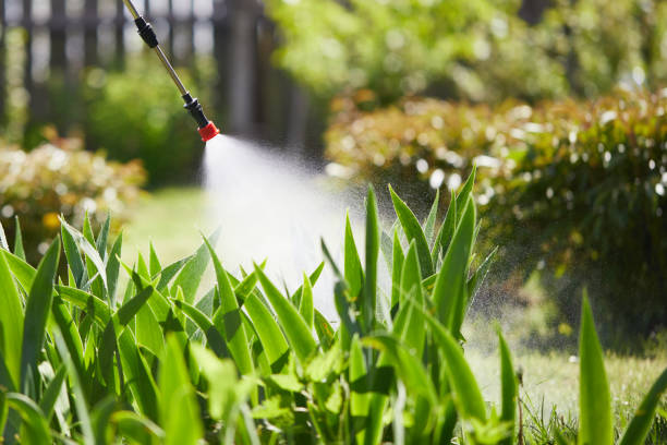 24/7 Emergency Termite Control experts in Munising, MI