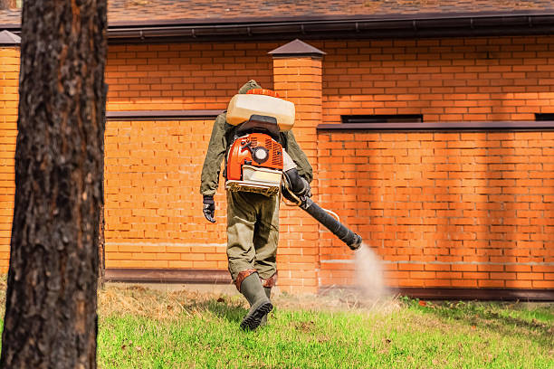 Top rated local Termite Control specialists in Munising, MI